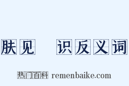 肤见謭识反义词是什么意思的图片